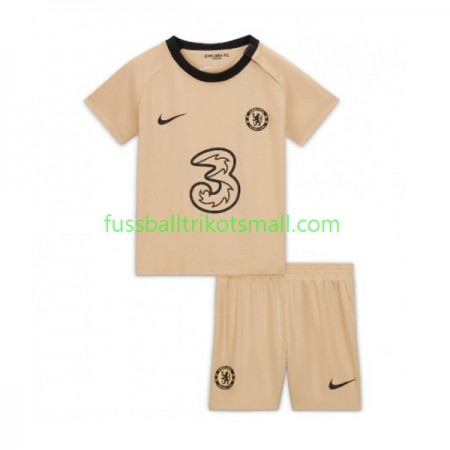 Fußballtrikots Chelsea Kinder 2022-2023 Kurzarm 3rd trikot kaufen